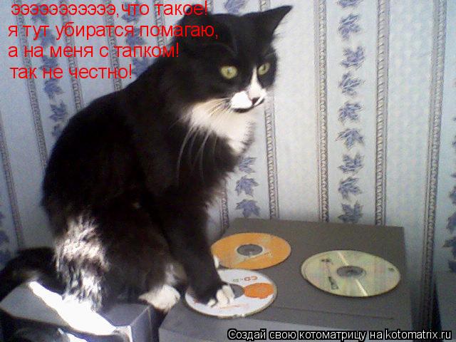 эээээээээээ,что такое! я тут убиратся помагаю, а на меня с тапком! так не честно! а на меня с тапком!... Котоматрица: эээээээээээ,что такое! я тут убиратся помагаю, а на меня с тапком! так не честно! а на меня с тапком!