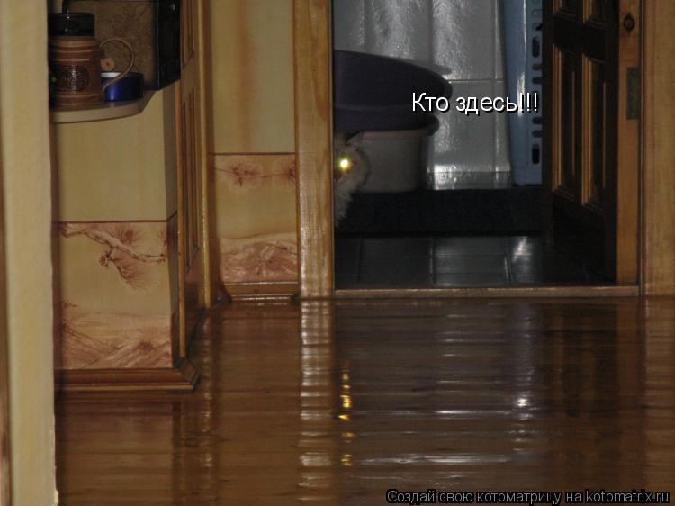 Кто здесь!!!... Котоматрица: Кто здесь!!!