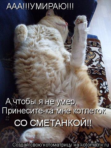 ААА!!!УМИРАЮ!!! А,чтобы я не умер, Принесите-ка мне котлеток СО СМЕТАНКОЙ!!... Котоматрица: ААА!!!УМИРАЮ!!! А,чтобы я не умер, Принесите-ка мне котлеток СО СМЕТАНКОЙ!!