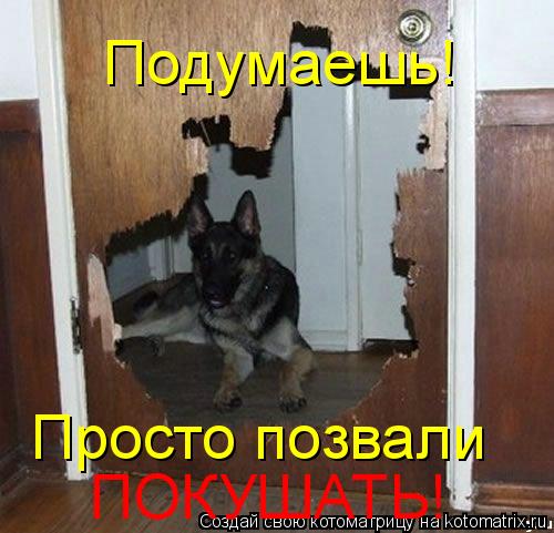 Котоматрица: Подумаешь!  Просто позвали ПОКУШАТЬ!