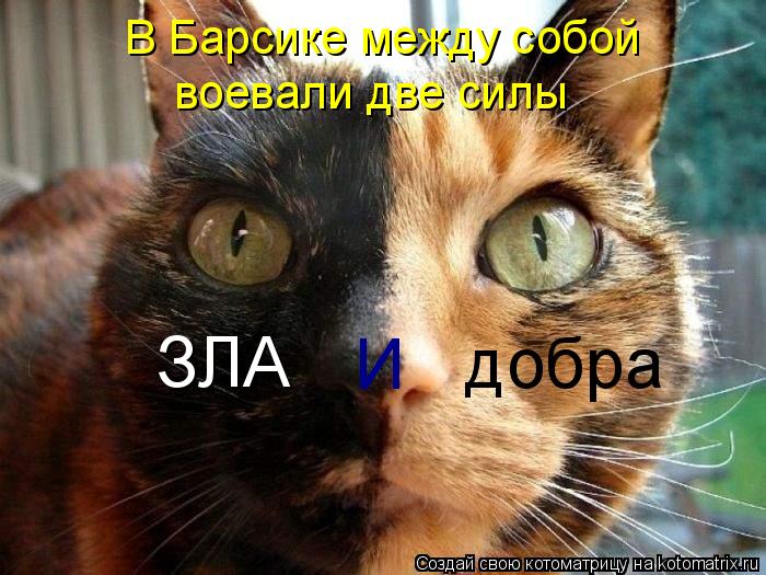 Котоматрица: В Барсике между собой воевали две силы  ЗЛА  добра И