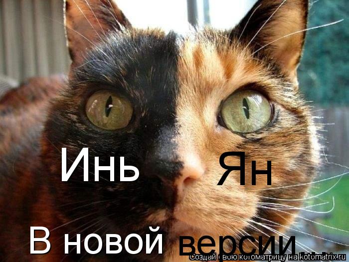Котоматрица: Инь Ян В новой версии...