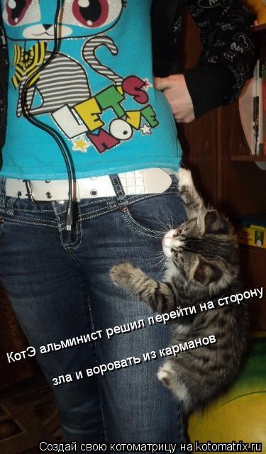 Котоматрица: КотЭ альминист решил перейти на сторону зла и воровать из карманов КотЭ альминист решил перейти на сторону зла и воровать из карманов зла и