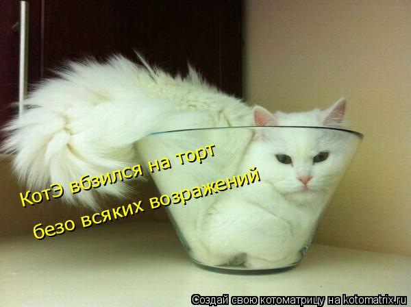 Котоматрица: КотЭ вбзился на торт  безо всяких возражений