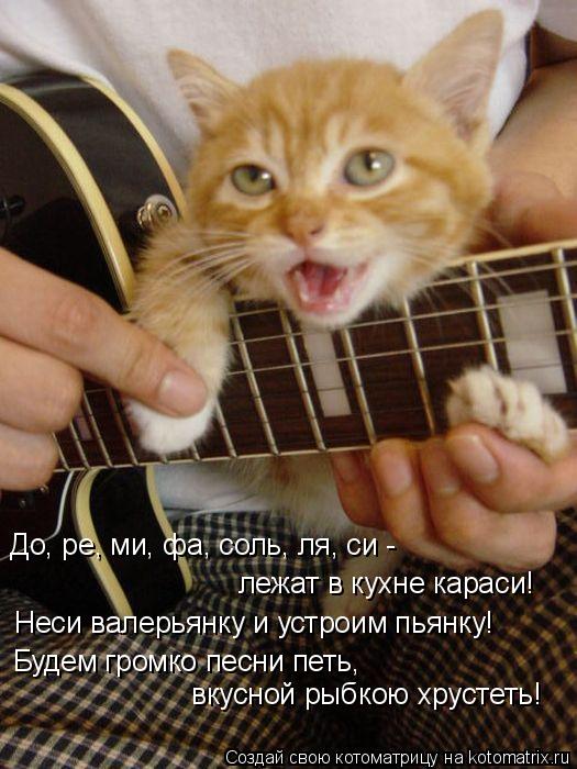 Котоматрица: До, ре, ми, фа, соль, ля, си -  лежат в кухне караси! Неси валерьянку и устроим пьянку! Будем громко песни петь, вкусной рыбкою хрустеть!