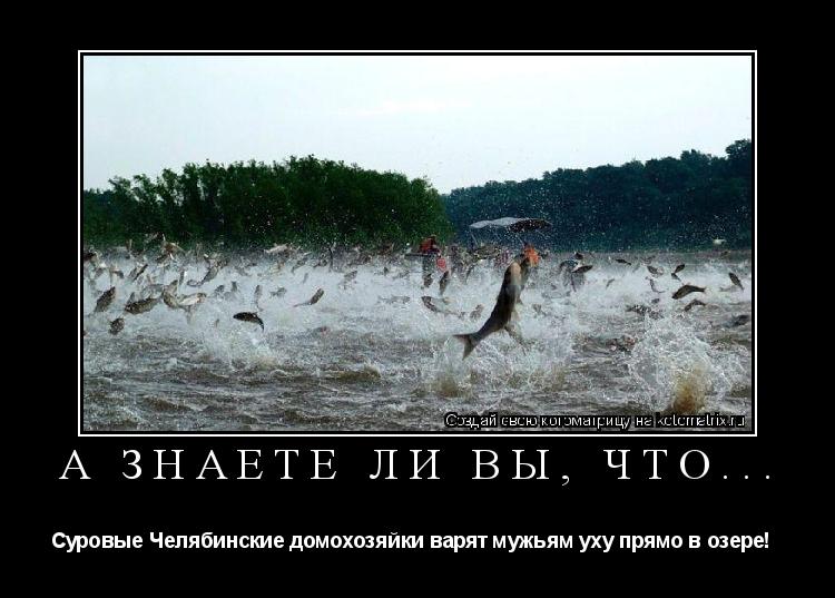 Котоматрица: А знаете ли вы, что... Суровые Челябинские домохозяйки варят мужьям уху прямо в озере!  