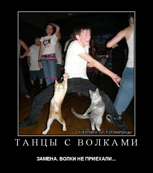 Котоматрица: танцы с волками ЗАМЕНА. ВОЛКИ НЕ ПРИЕХАЛИ...