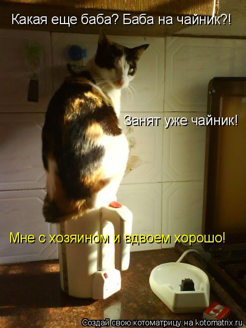 Котоматрица: Какая еще баба? Баба на чайник?! Занят уже чайник! Мне с хозяином и вдвоем хорошо!