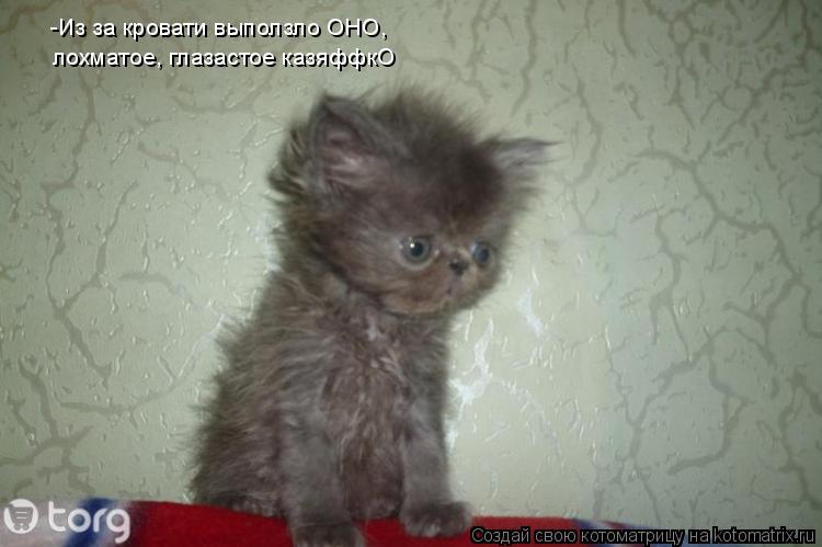 Котоматрица: -Из за кровати выползло ОНО, лохматое, глазастое казяффкО