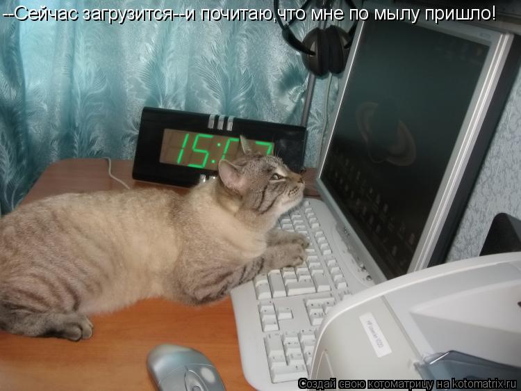 Котоматрица: --Сейчас загрузится--и почитаю,что мне по мылу пришло!