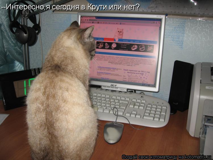 Котоматрица: --Интересно,я сегодня в Крути или нет?