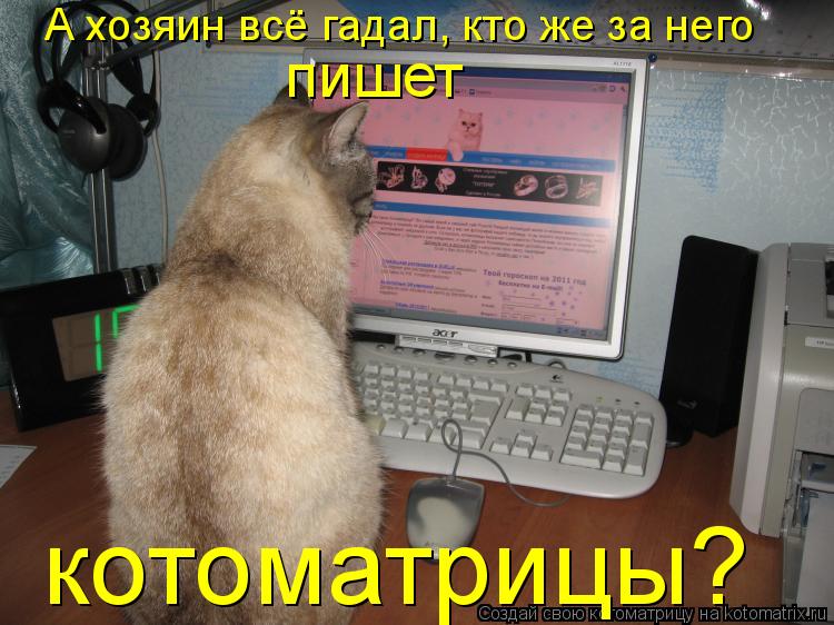 Котоматрица: А хозяин всё гадал, кто же за него пишет котоматрицы?