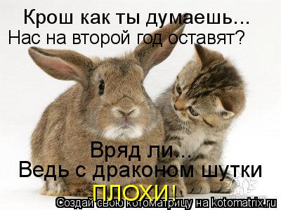 Котоматрица: Крош как ты думаешь... Нас на второй год оставят? Вряд ли... Ведь с драконом шутки ПЛОХИ!