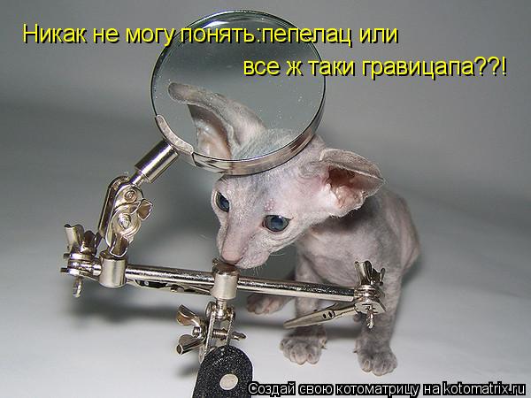 Котоматрица: Никак не могу понять:пепелац или все ж таки гравицапа??!