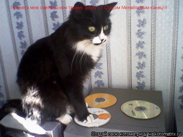 Котоматрица: Принеси мне сметаны или твоему диску со Стасом Михайловым конец!!!