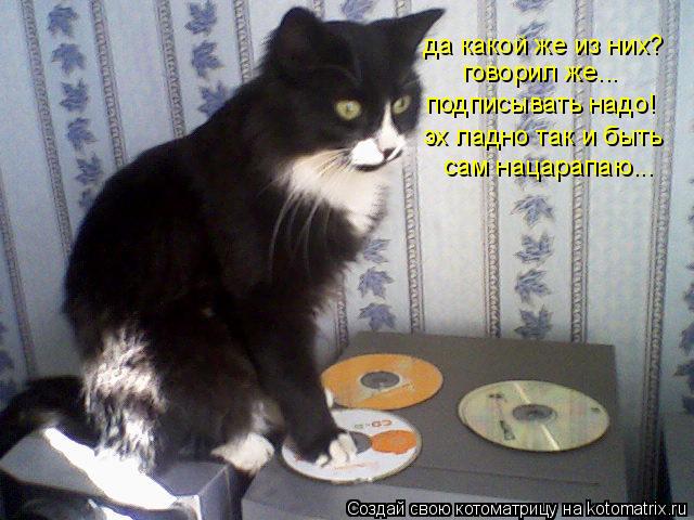 Котоматрица: да какой же из них? говорил же... подписывать надо! эх ладно так и быть сам нацарапаю...