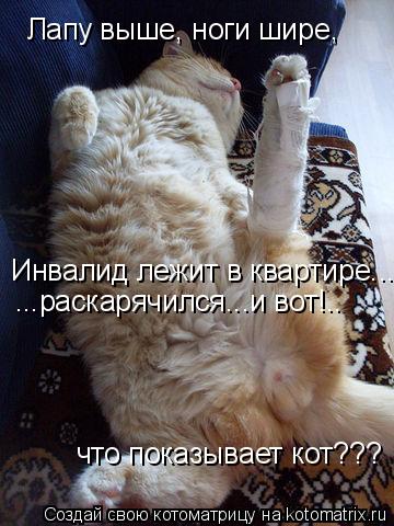 Котоматрица: Лапу выше, ноги шире, Инвалид лежит в квартире... ...раскарячился...и вот!.. что показывает кот???