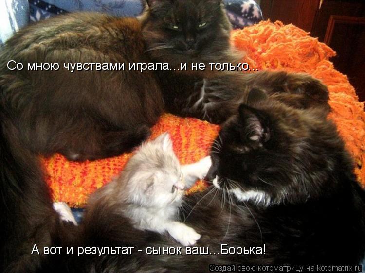 Котоматрица: Со мною чувствами играла...и не только... А вот и результат - сынок ваш...Борька!