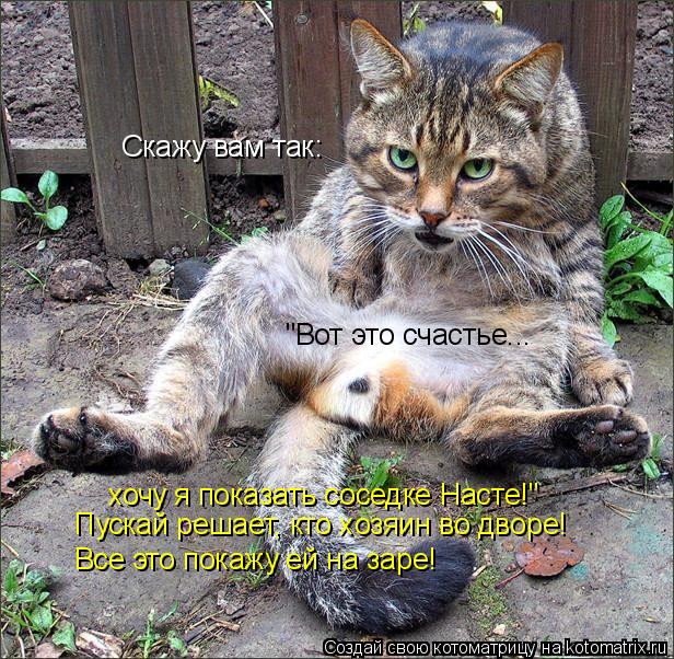 Котоматрица: Скажу вам так: хочу я показать соседке Насте!" Пускай решает, кто хозяин во дворе! Все это покажу ей на заре! "Вот это счастье...