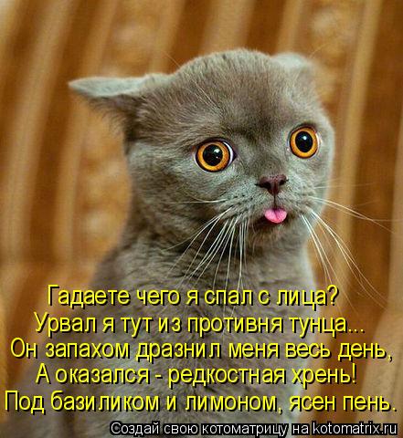 Гадаете чего я спал с лица? Урвал я тут из противня тунца... Он запахом дразнил меня весь день, Под б... Котоматрица: Гадаете чего я спал с лица? Урвал я тут из противня тунца... Он запахом дразнил меня весь день, Под базиликом и лимоном, ясен пень. А оказался -