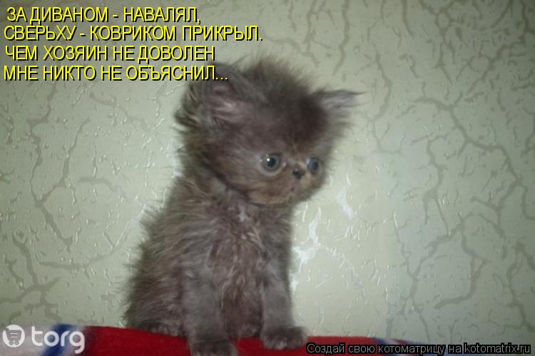 Котоматрица: ЗА ДИВАНОМ - НАВАЛЯЛ, СВЕРЬХУ - КОВРИКОМ ПРИКРЫЛ. ЧЕМ ХОЗЯИН НЕ ДОВОЛЕН МНЕ НИКТО НЕ ОБЪЯСНИЛ...