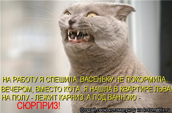 Котоматрица: НА РАБОТУ Я СПЕШИЛА, ВАСЕНЬКУ НЕ ПОКОРМИЛА... ВЕЧЕРОМ, ВМЕСТО КОТА, Я НАШЛА В КВАРТИРЕ ЛЬВА! НА ПОЛУ - ЛЕЖИТ КАРНИЗ, А ПОД ВАННОЮ - СЮРПРИЗ!