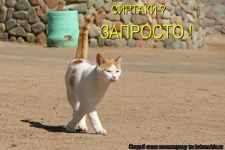 Котоматрица: СИРТАКИ ? ЗАПРОСТО !