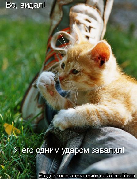 Котоматрица: Во, видал! Я его одним ударом завалил!