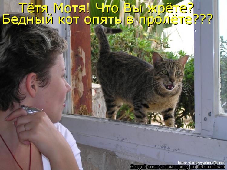Тётя Мотя! Что Вы жрёте? Бедный кот опять в пролёте???... Котоматрица: Тётя Мотя! Что Вы жрёте? Бедный кот опять в пролёте???