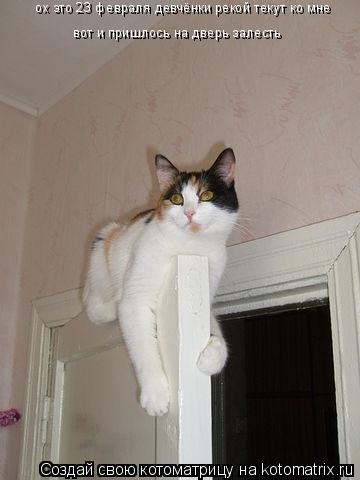 Котоматрица: ох это 23 февраля девчёнки рекой текут ко мне вот и пришлось на дверь залесть