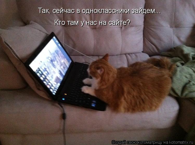 Котоматрица: Так, сейчас в одноклассники зайдем... Кто там у нас на сайте?