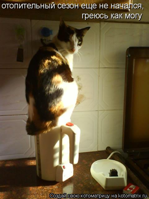 Котоматрица: отопительный сезон еще не начался,  греюсь как могу