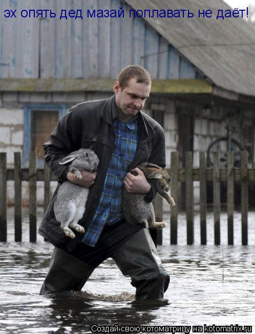 Котоматрица: эх опять дед мазай поплавать не даёт!