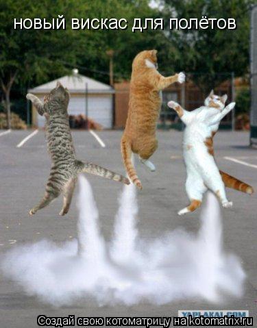 Котоматрица: новый вискас для полётов