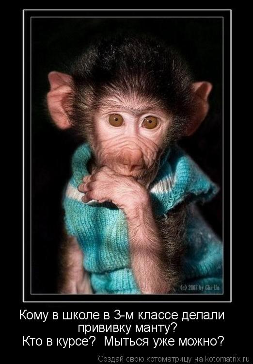 Котоматрица: Кому в школе в 3-м классе делали  прививку манту?  Кто в курсе?  Мыться уже можно?
