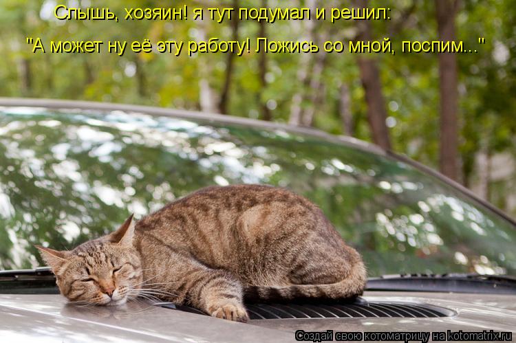 Котоматрица: Слышь, хозяин! я тут подумал и решил: "А может ну её эту работу! Ложись со мной, поспим..."