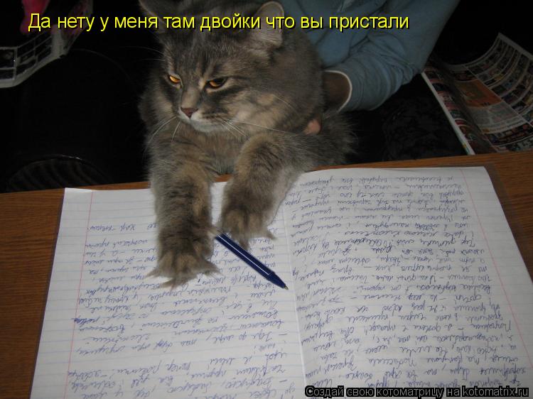 Котоматрица: Да нету у меня там двойки что вы пристали