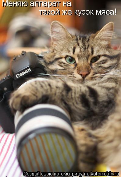 Котоматрица: Меняю аппарат на  такой же кусок мяса!