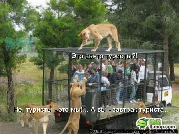 Котоматрица: Это вы-то туристы?! Не, туристы - это мы!... А вы - завтрак туриста...
