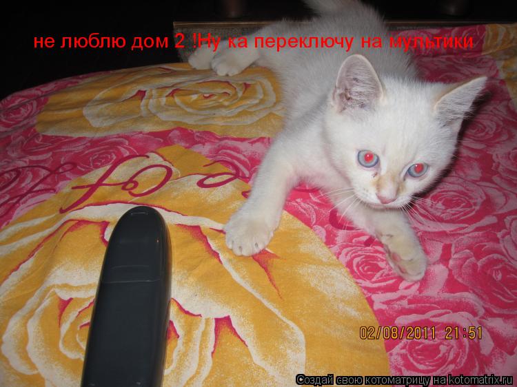 Котоматрица: не люблю дом 2 !Ну ка переключу на мультики