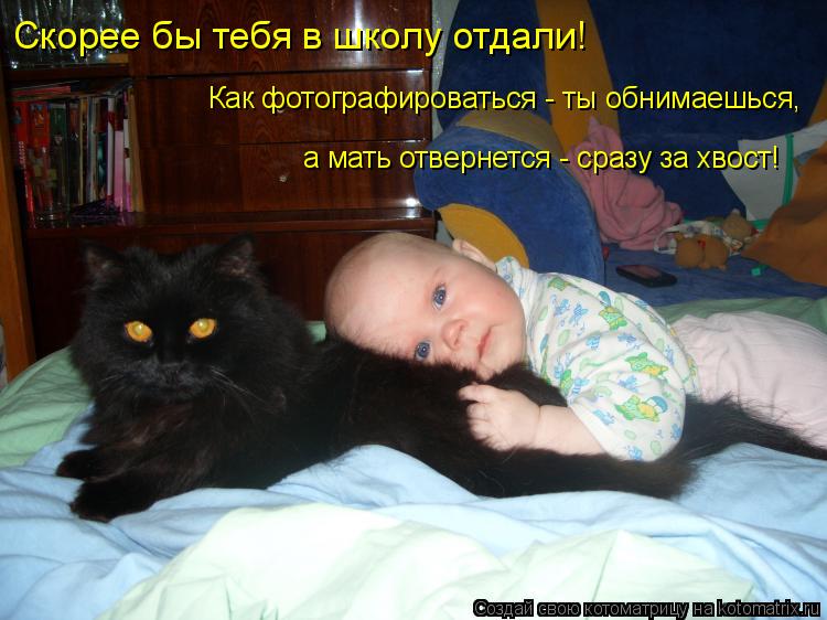 Котоматрица: Скорее бы тебя в школу отдали! Как фотографироваться - ты обнимаешься, а мать отвернется - сразу за хвост!