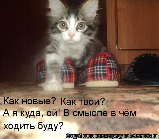 Котоматрица: Как новые? Как твои? А я куда, ой! В смысле в чём ходить буду?