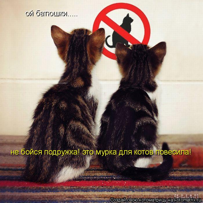 Котоматрица: ой батюшки.....  не бойся подружка! это мурка для котов повесила!