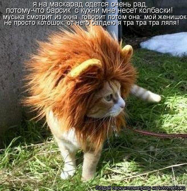 Котоматрица: я на маскарад одется очень рад, потому-что барсик  с кухни мне несет колбаски! муська смотрит из окна  говорит потом она: мой женишок не прост