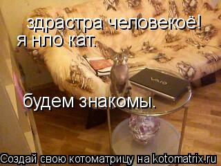 Котоматрица: здрастра человекоё! я нло кат. будем знакомы.