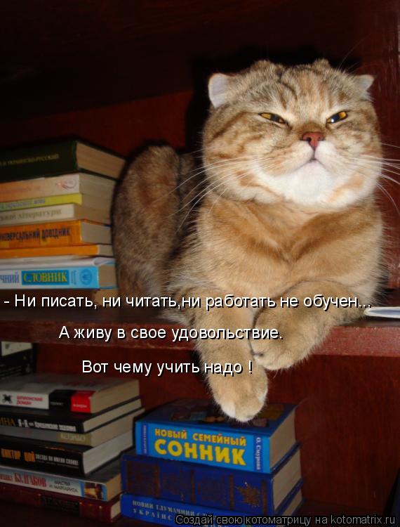 Котоматрица: - Ни писать, ни читать,ни работать не обучен... А живу в свое удовольствие. Вот чему учить надо !
