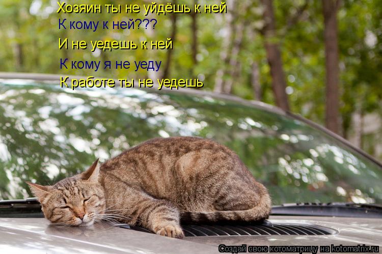 Котоматрица: Хозяин ты не уйдёшь к ней  К кому к ней??? И не уедешь к ней  К кому я не уеду  К работе ты не уедешь
