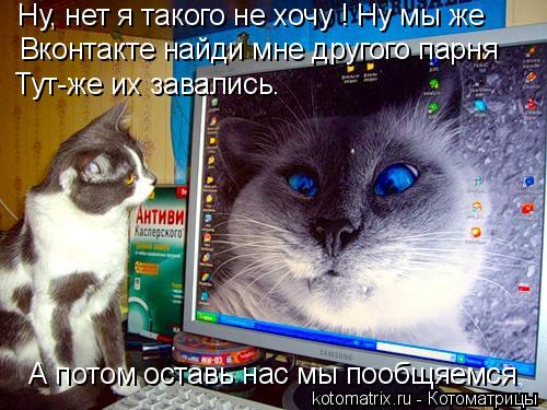 Котоматрица: Ну, нет я такого не хочу ! Ну мы же  Вконтакте найди мне другого парня Тутже их завались. Тут-же их завались. А потом оставь нас мы пообщяемся