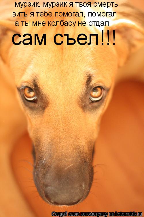 Котоматрица: мурзик. мурзик я твоя смерть вить я тебе помогал, помогал а ты мне колбасу не отдал сам съел!!!