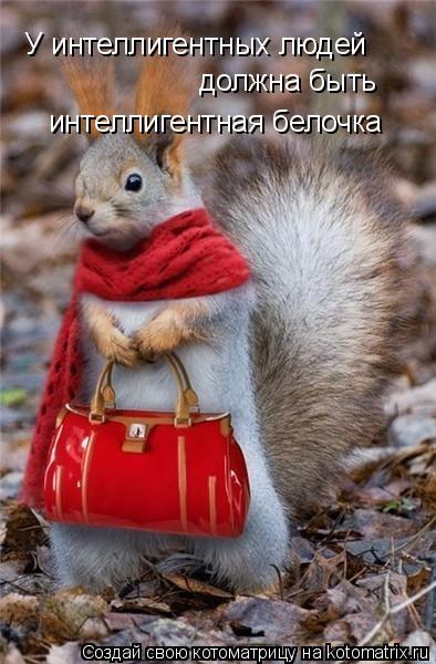 Котоматрица: У интеллигентных людей должна быть интеллигентная белочка